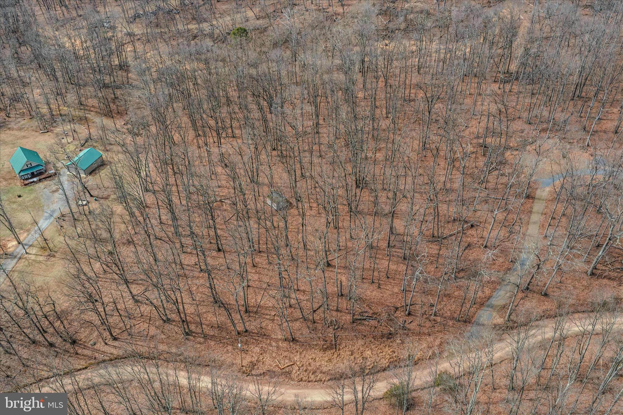 6 Pauls Woods Road Delray, WV 26714 - Photo 10 of 28