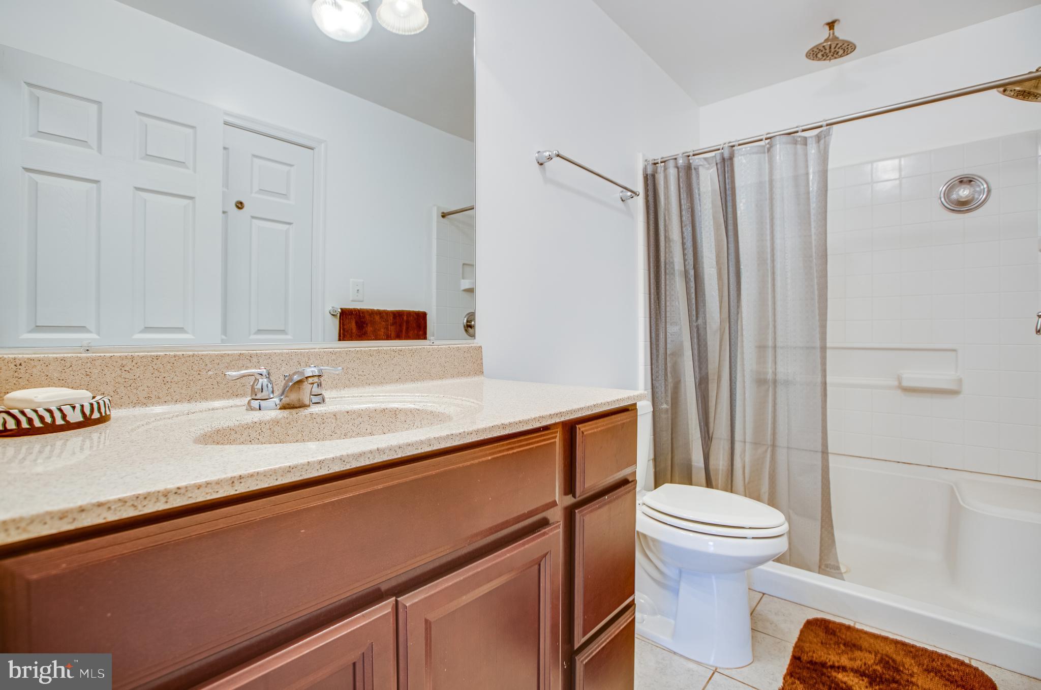 19249 York Road Stevensburg, VA 22741 - Photo 17 of 26 Primary Bathroom