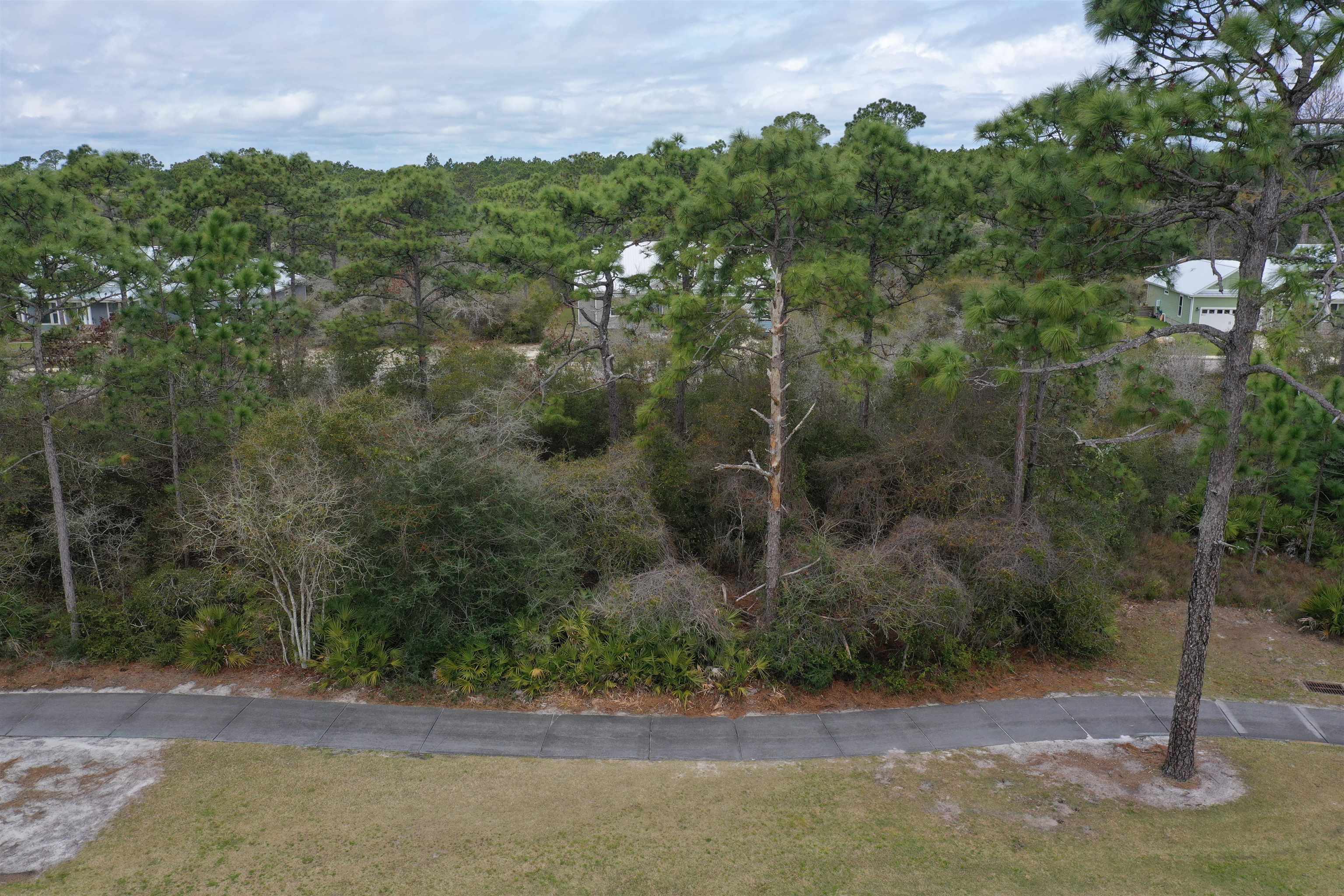 395 Royal Tern Way Carrabelle, FL 32322 - Photo 15 of 28