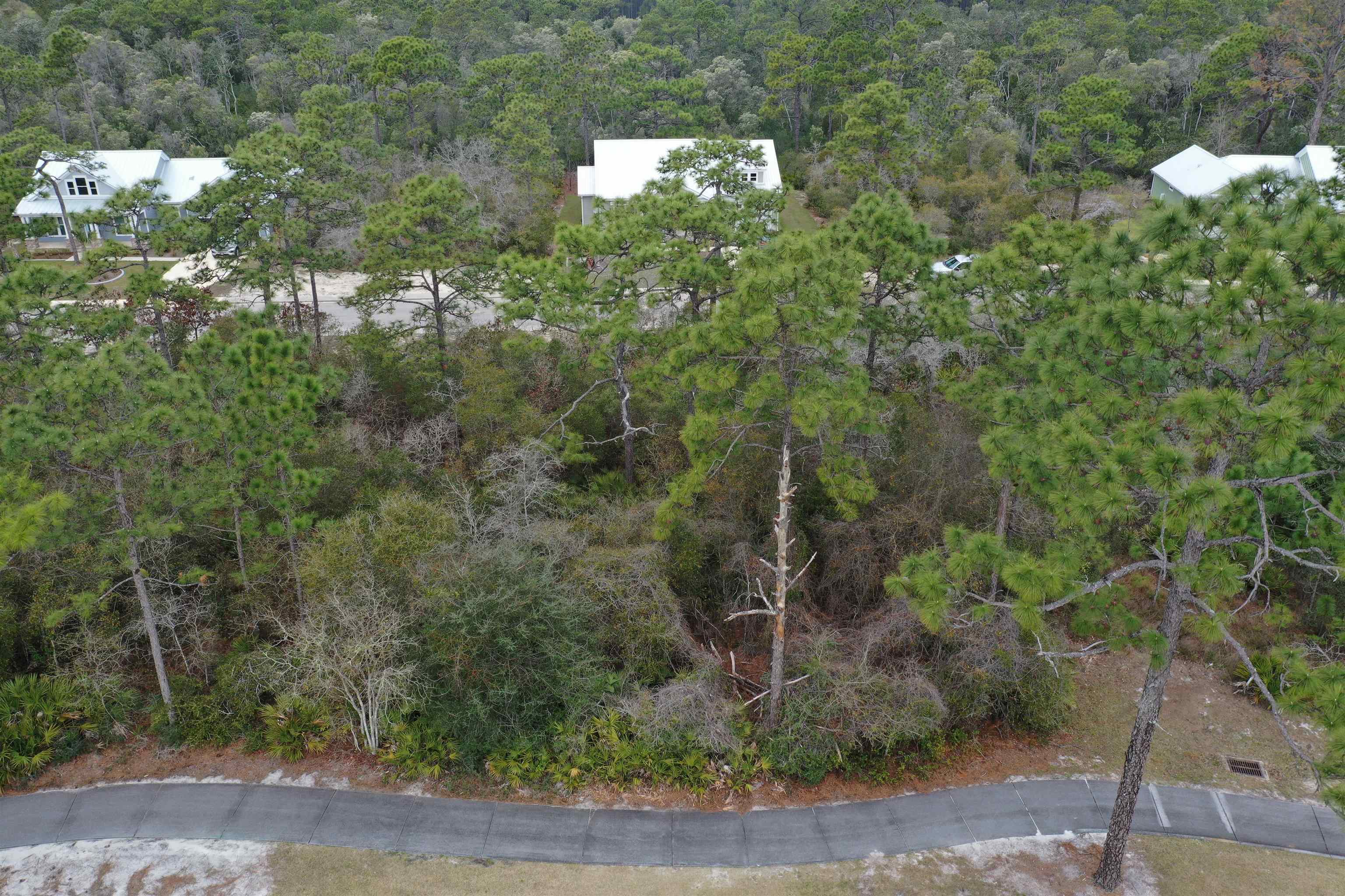 395 Royal Tern Way Carrabelle, FL 32322 - Photo 17 of 28