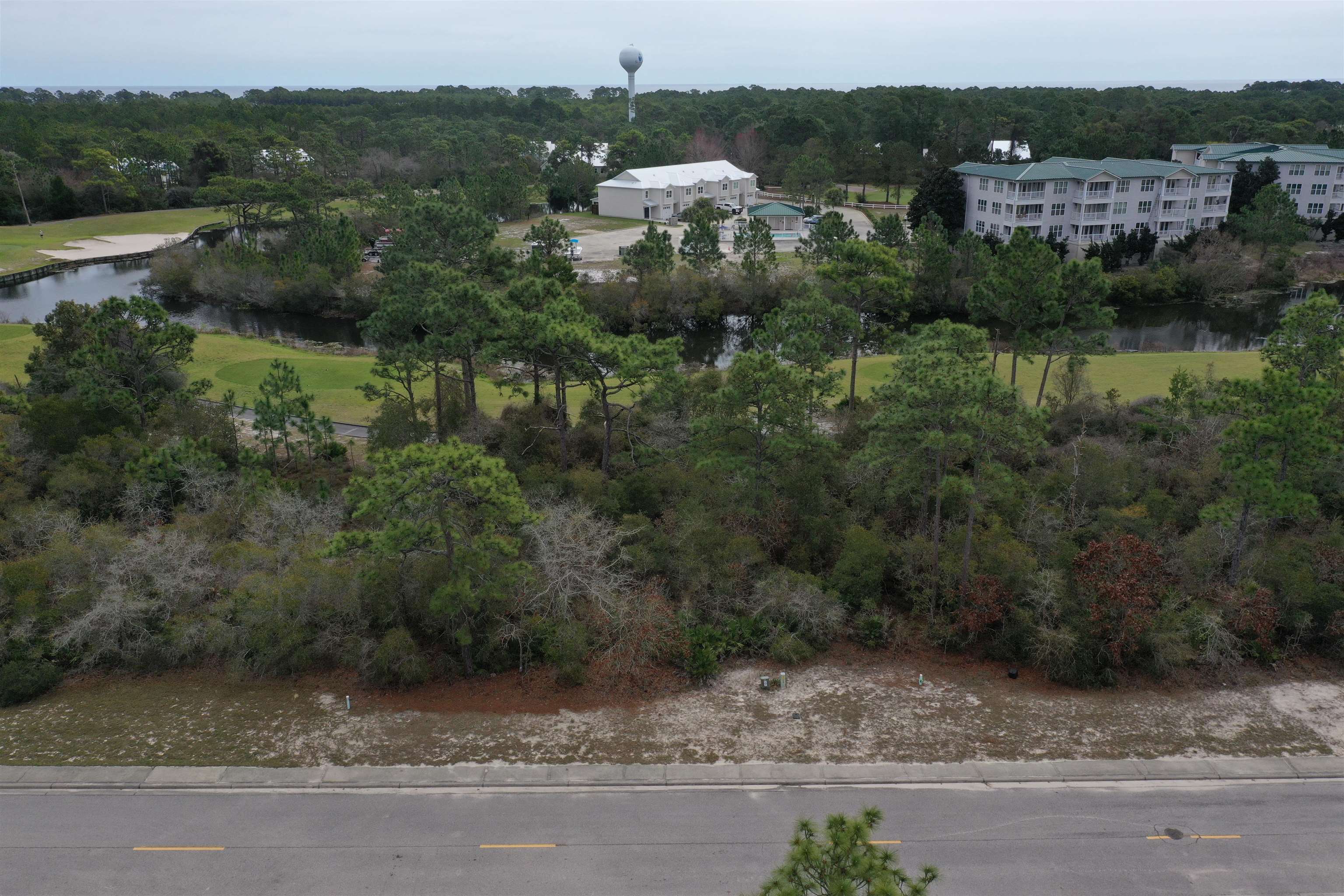 395 Royal Tern Way Carrabelle, FL 32322 - Photo 6 of 28
