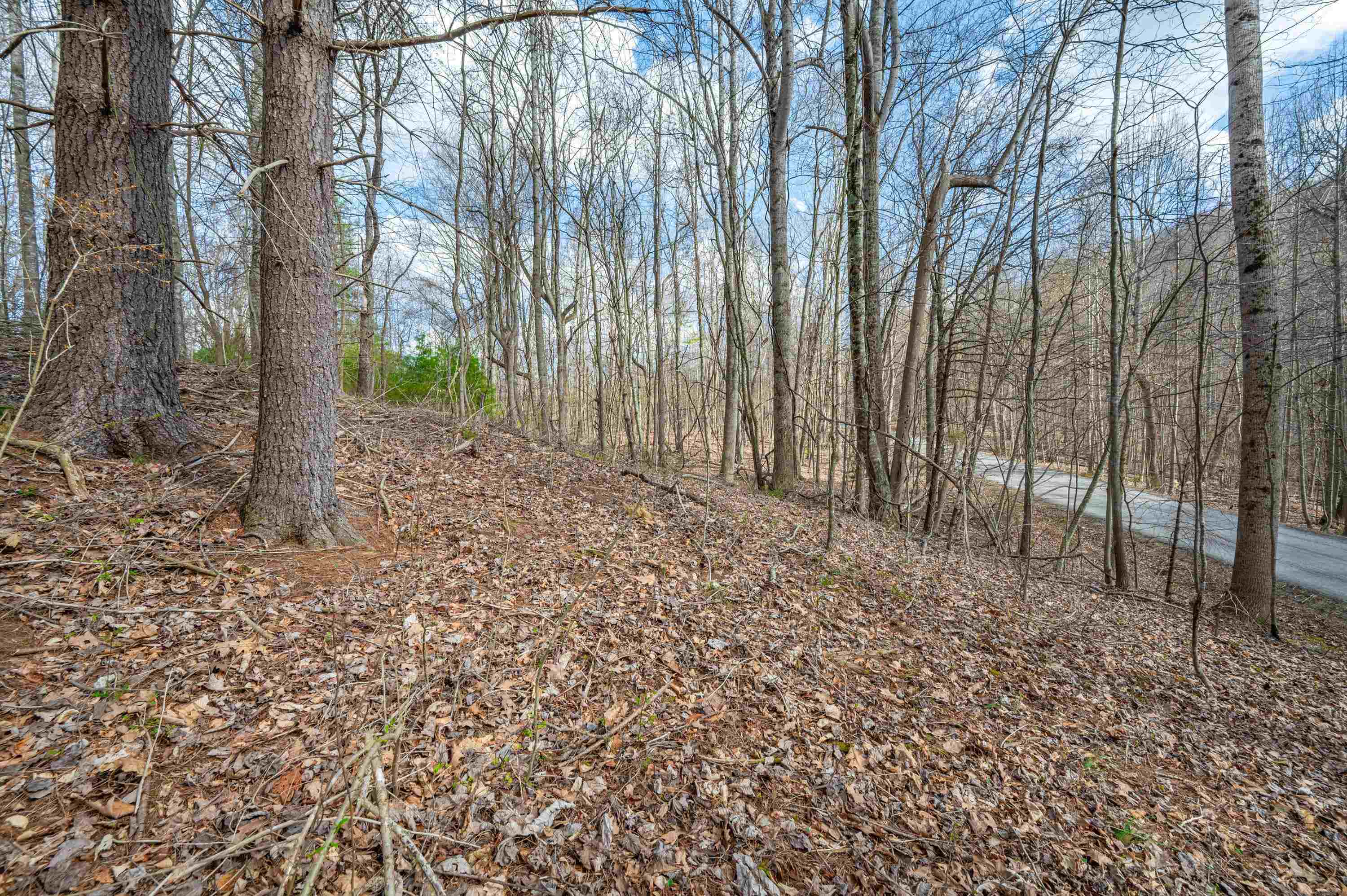2301 Buffalo Mountain Road Southwest Willis, VA 24380 - Photo 27 of 37 Gallery Image 27