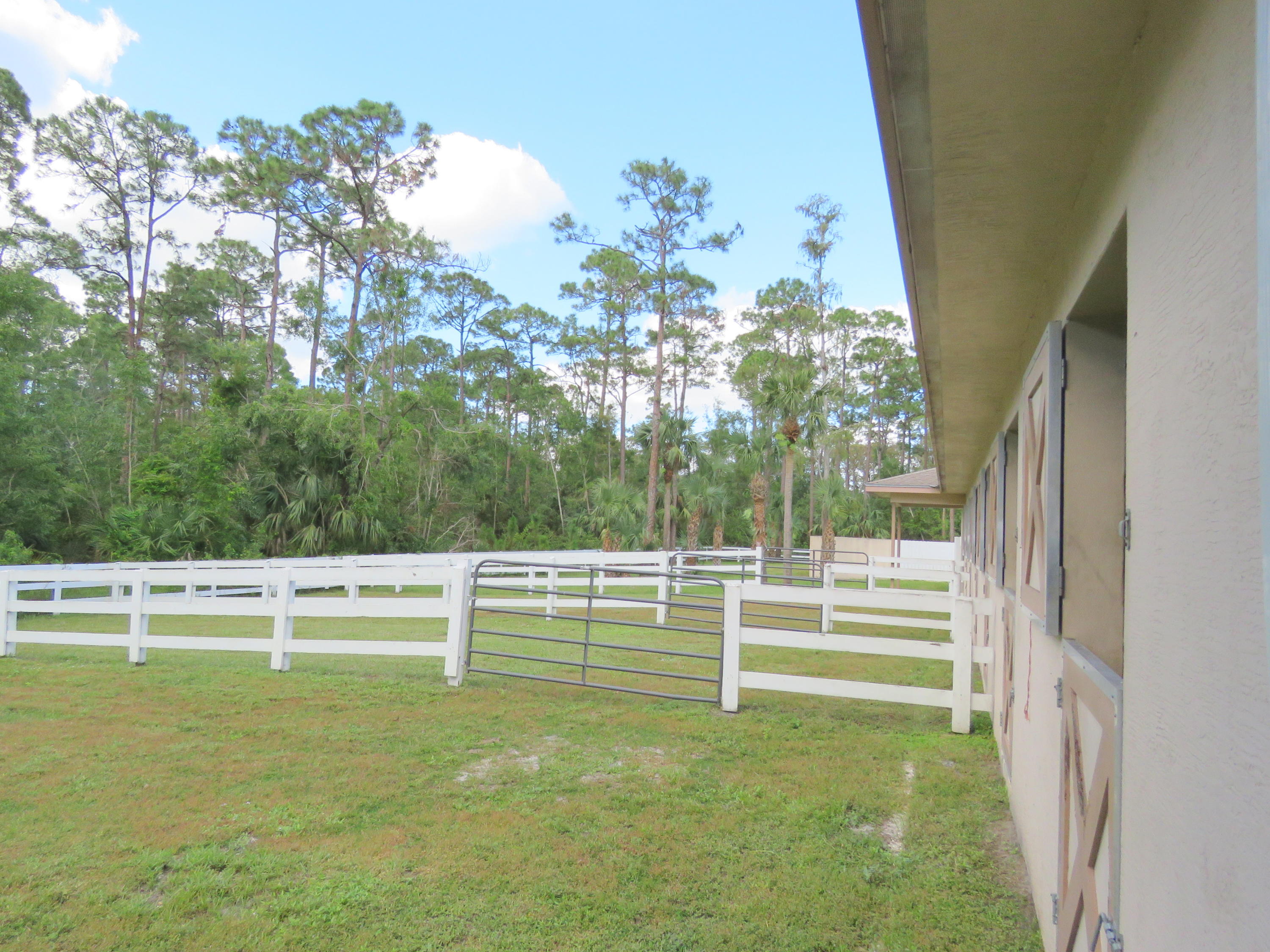 1059 E Road Loxahatchee, FL 33470 - Photo 52 of 82 a view of outdoor space