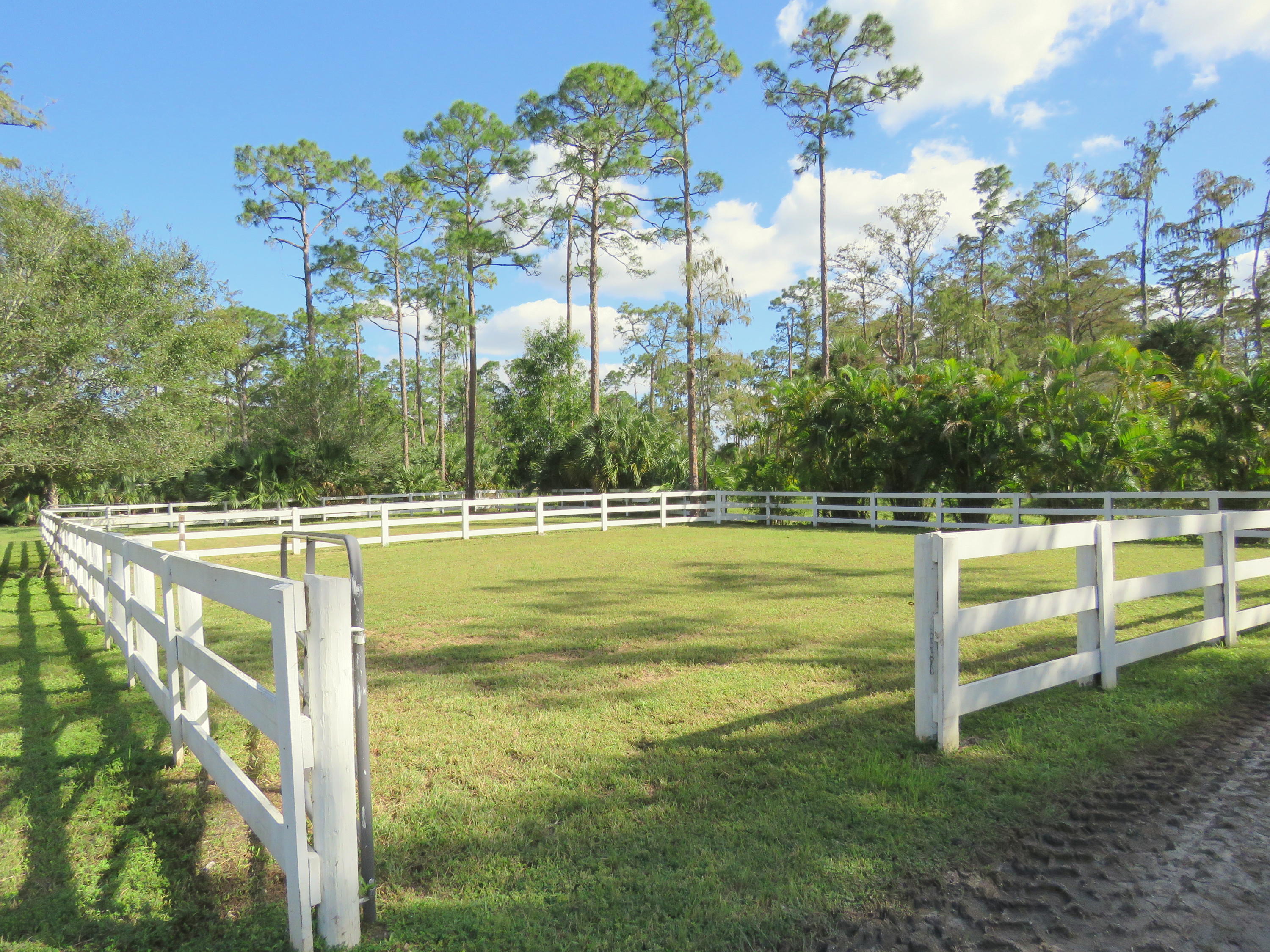 1059 E Road Loxahatchee, FL 33470 - Photo 53 of 82 a view of a swimming pool with a yard