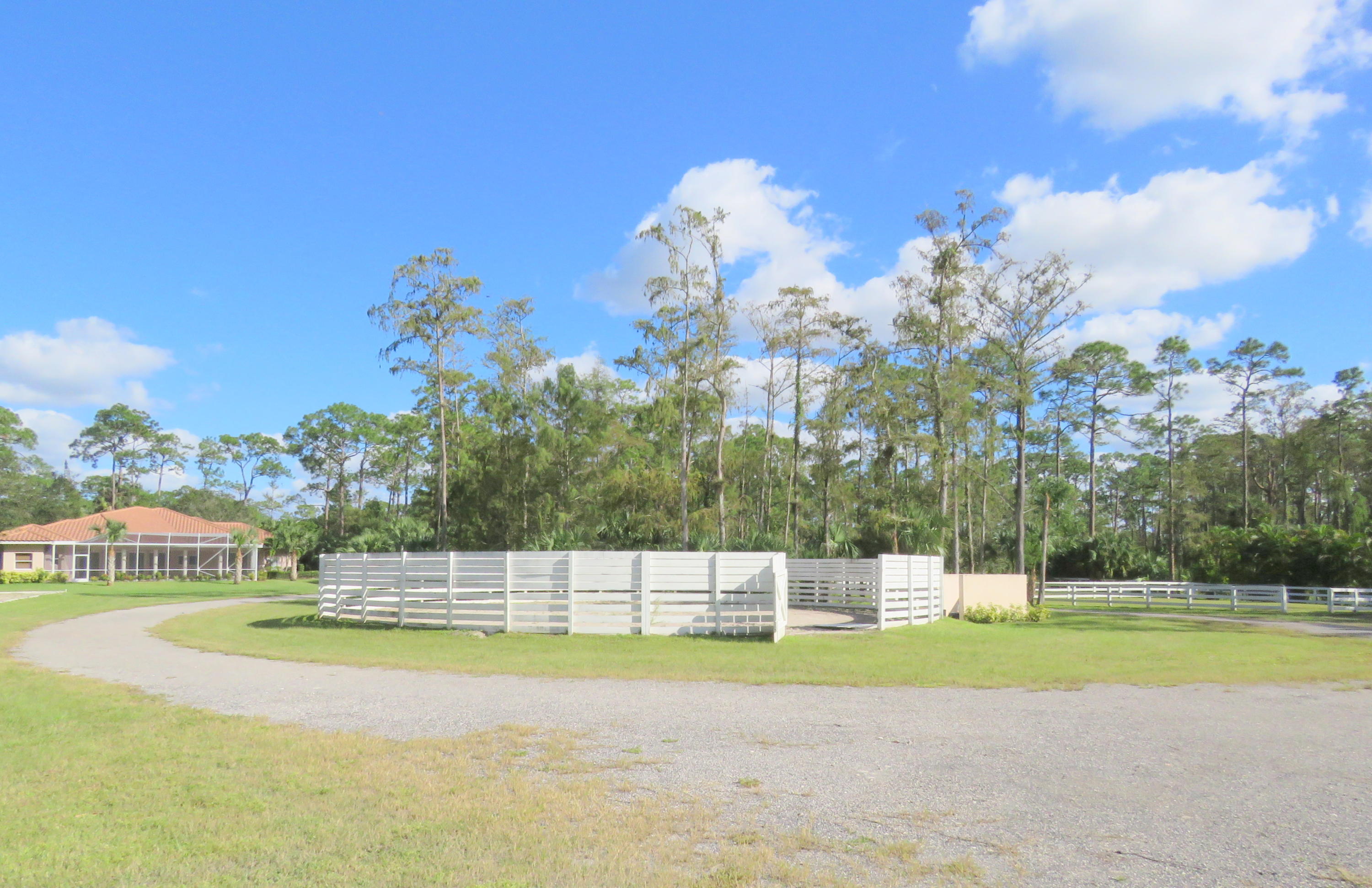 1059 E Road Loxahatchee, FL 33470 - Photo 74 of 82 a view of swimming pool with a yard