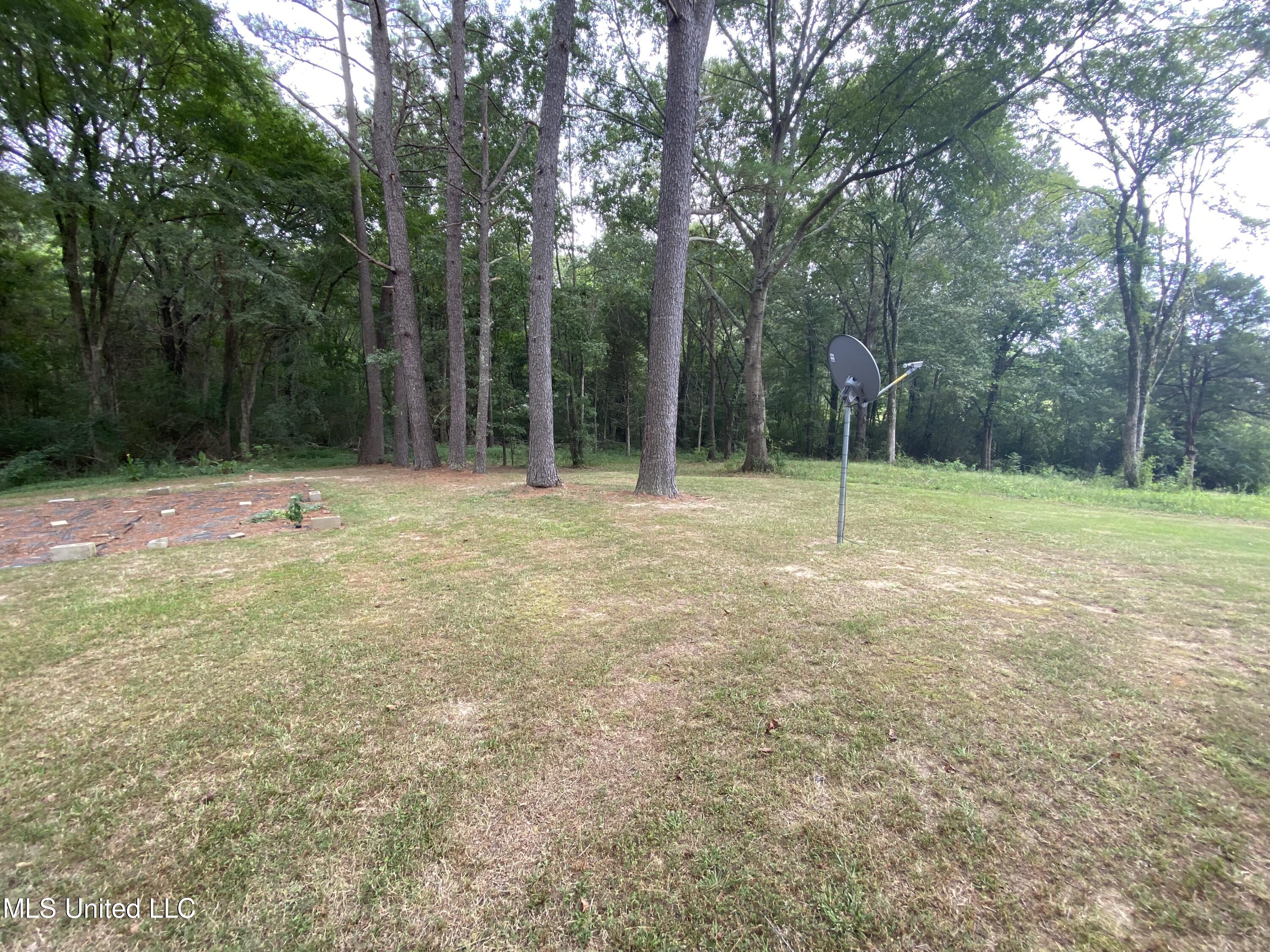 22 Cameron Road Senatobia, MS 38668 - Photo 8 of 36 C7D41C32-EED3-4B34-8F5C-17158A65CE02