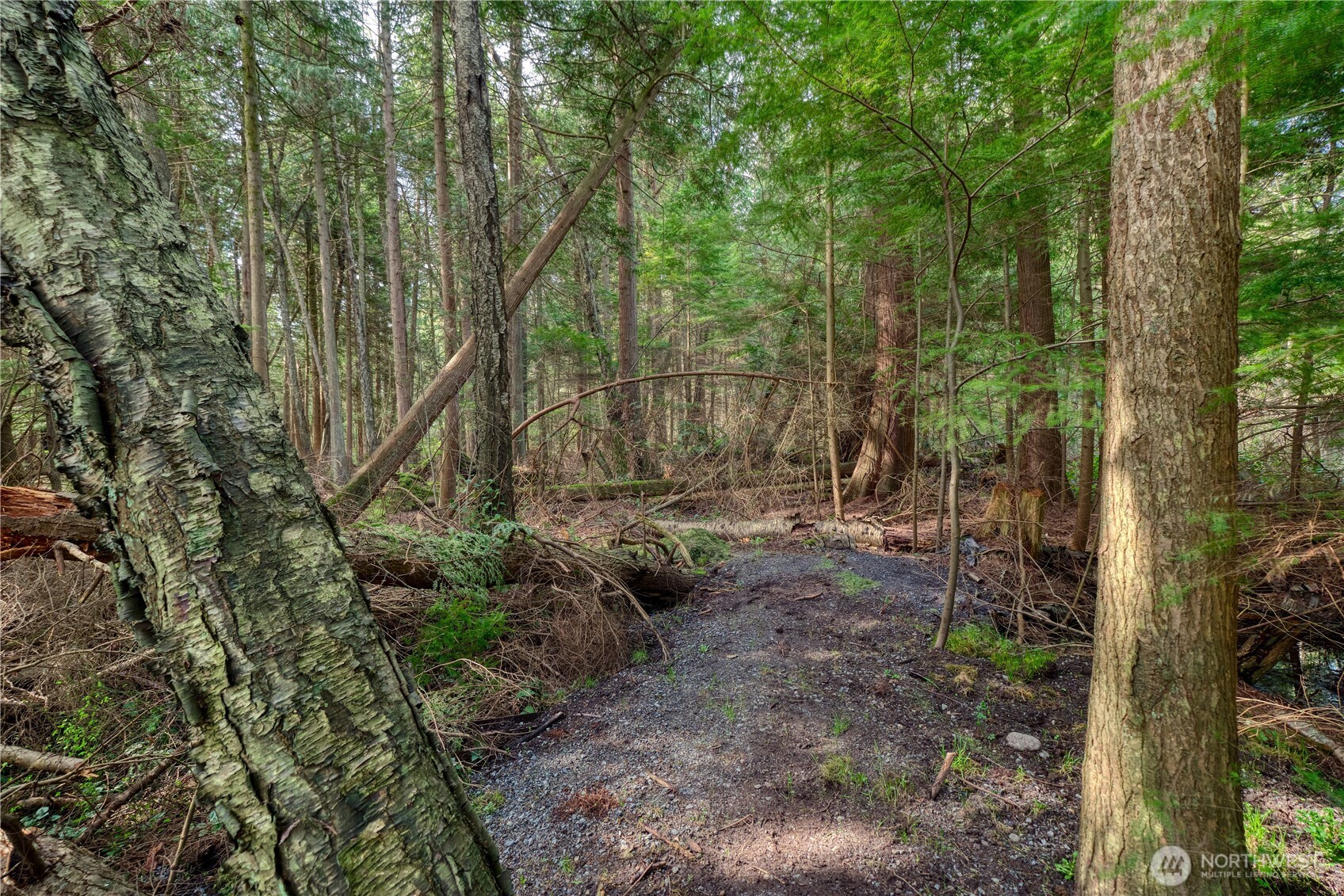 1871 Johnson Road Point Roberts, WA 98281 - Photo 34 of 36 a view of backyard with green space
