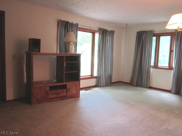 450 South Medina Line Road Akron, OH 44321 - Photo 11 of 23
