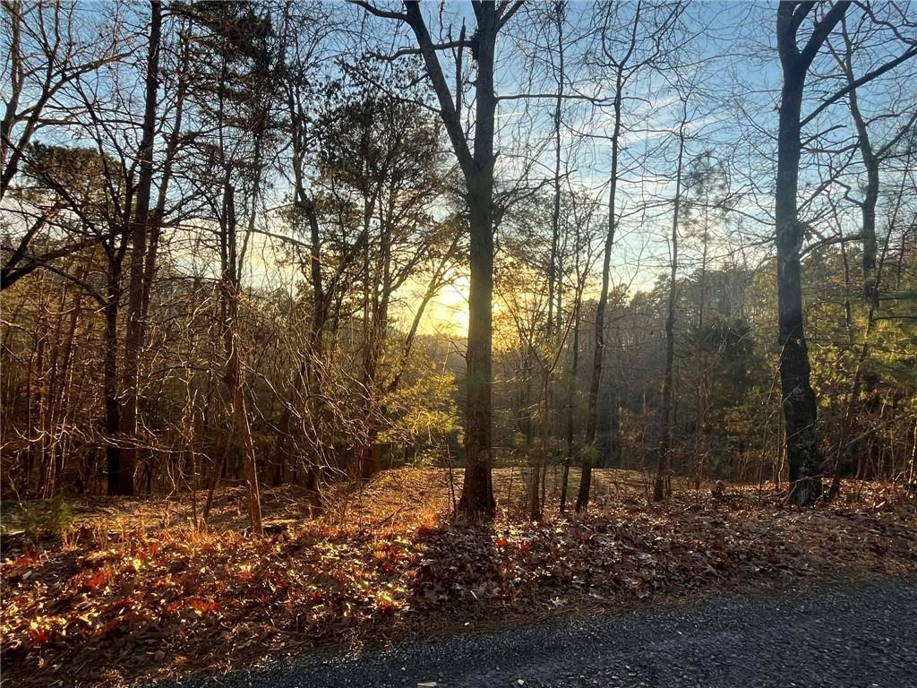 331 Paladin Drive Northeast Ranger, GA 30734 - Photo 2 of 23 a view of a forest with trees