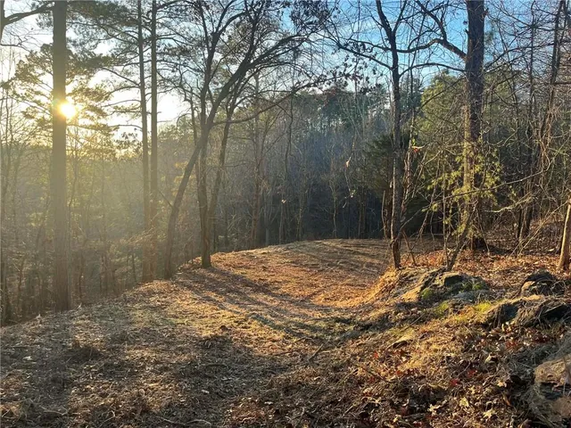 a backyard of a house with a large tree