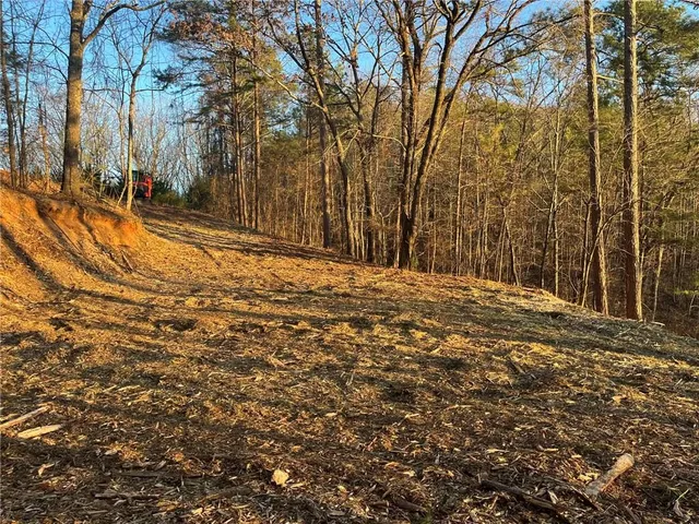 a view of a yard with large trees