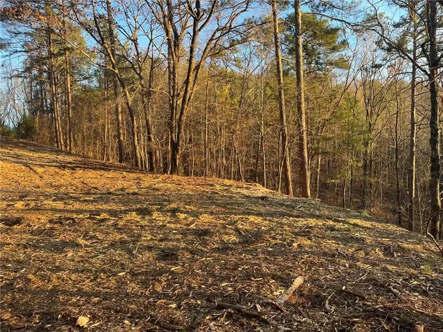 a view of a yard with large trees