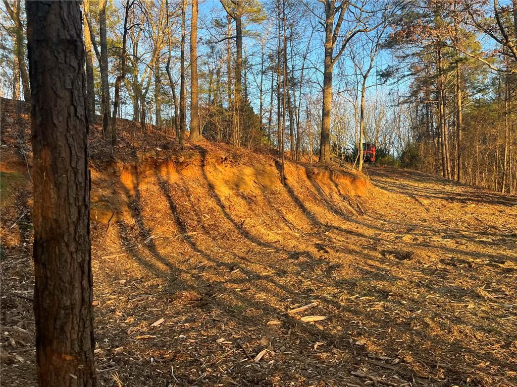 331 Paladin Drive Northeast Ranger, GA 30734 - Photo 6 of 23 a view of yard covered with snow