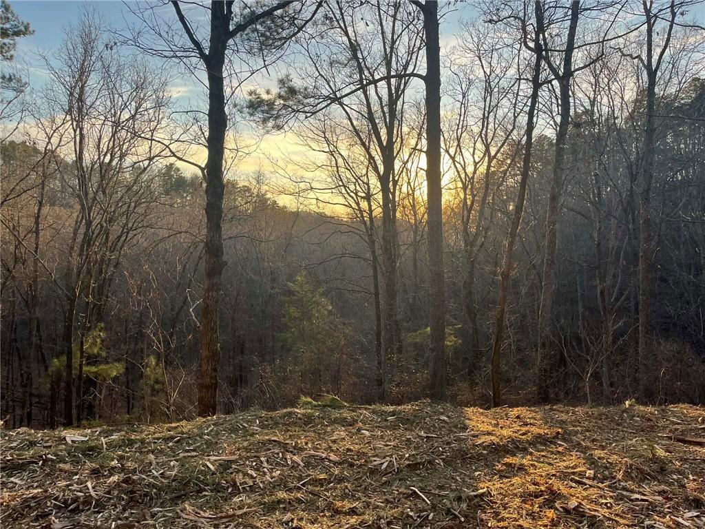 331 Paladin Drive Northeast Ranger, GA 30734 - Photo 7 of 23