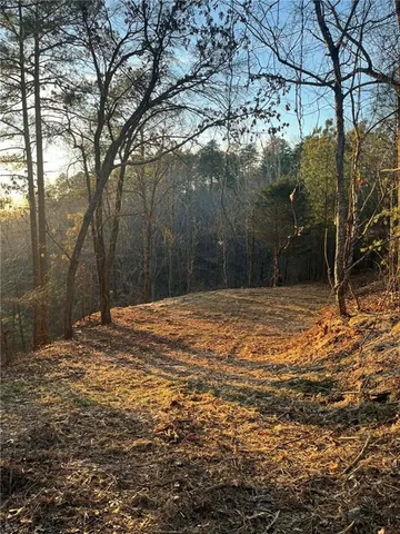 a view of outdoor space and yard