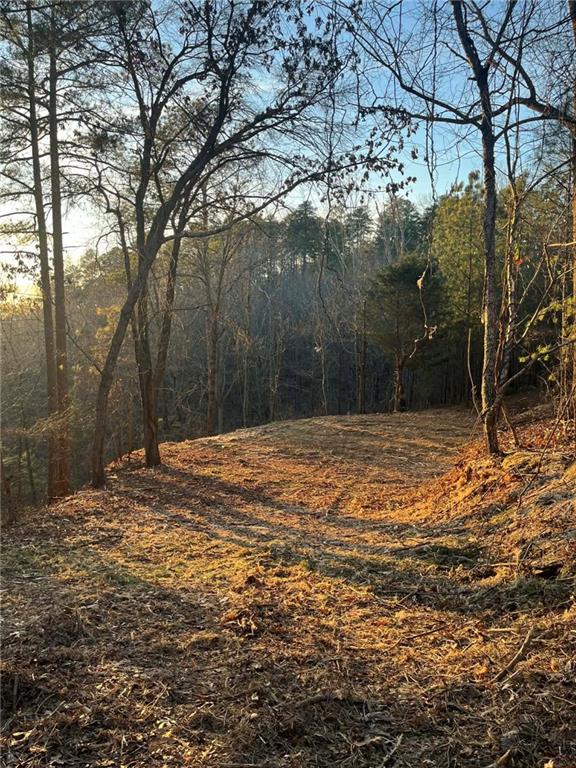331 Paladin Drive Northeast Ranger, GA 30734 - Photo 8 of 23 a backyard of a house with lots of green space