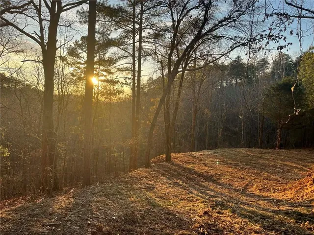 a view of backyard with green space