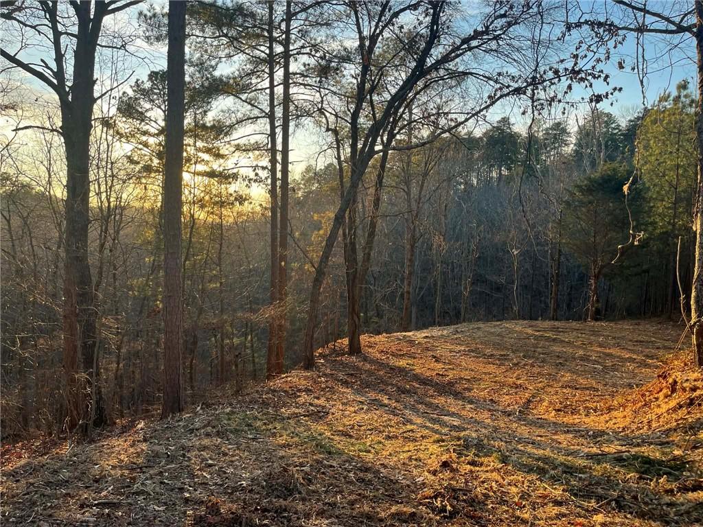331 Paladin Drive Northeast Ranger, GA 30734 - Photo 10 of 23 a view of backyard with green space