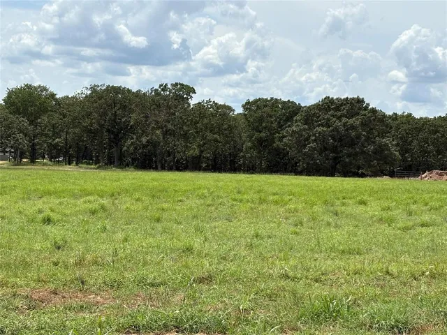 a view of a grassy field with trees in the background