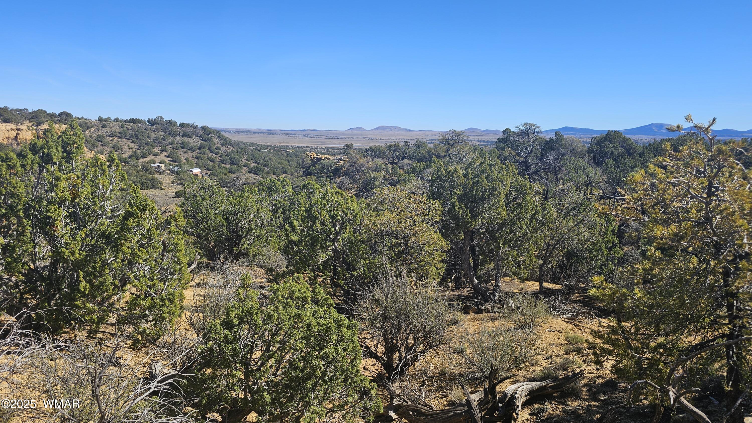 4 County Road Concho, AZ 85924 - Photo 4 of 28