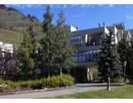 Primary Photo