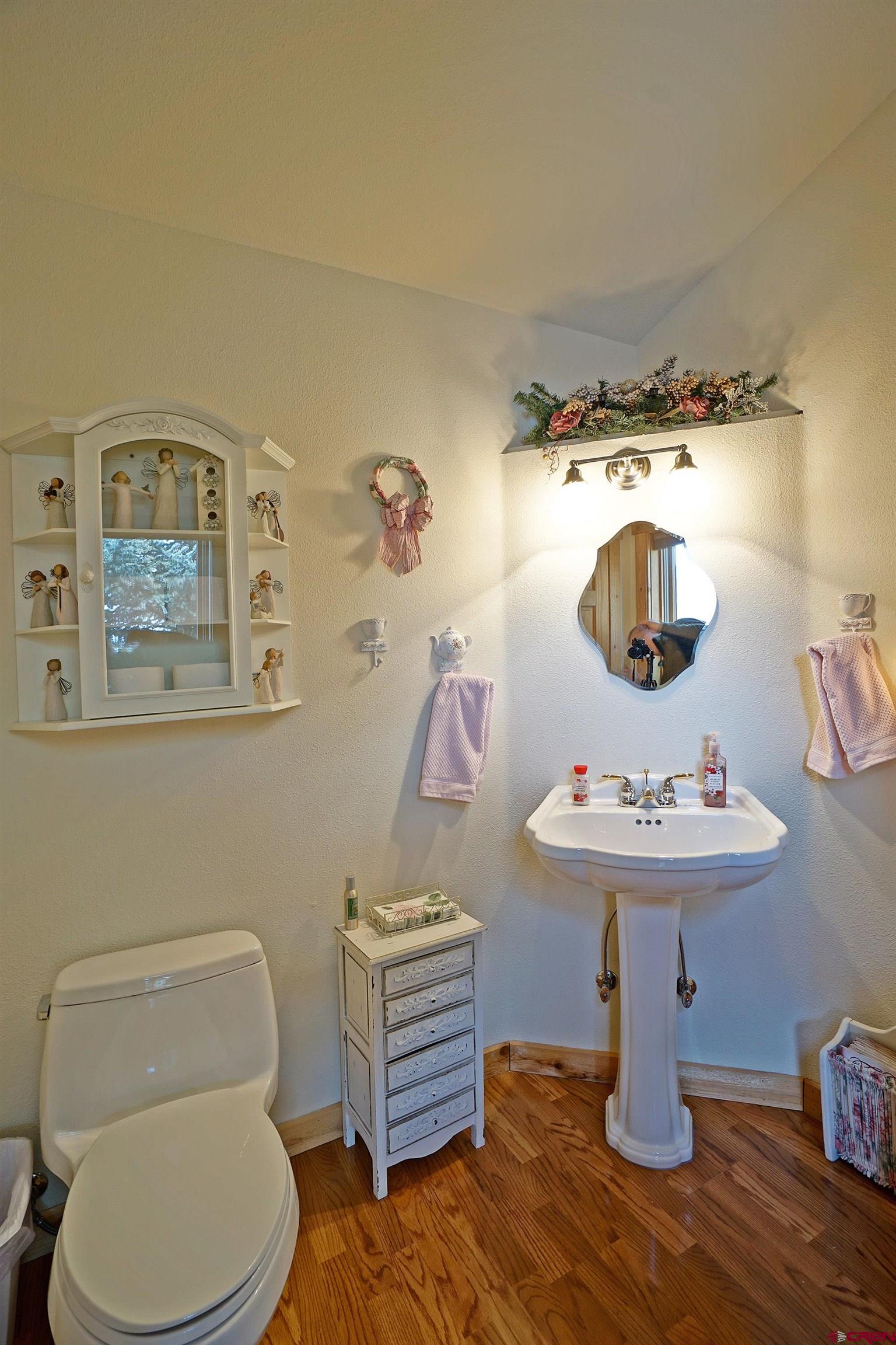 221 Waterview Lane Ridgway, CO 81432 - Photo 13 of 43 a bathroom with a sink toilet and a mirror