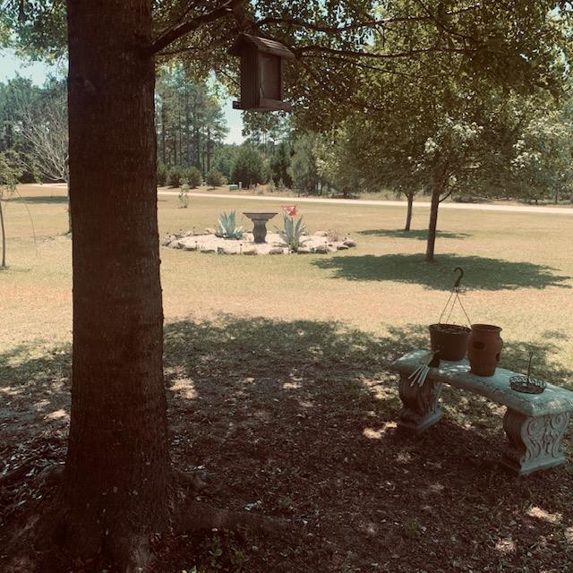 1341 Winding Pond Road Manning, SC 29102 - Photo 21 of 25