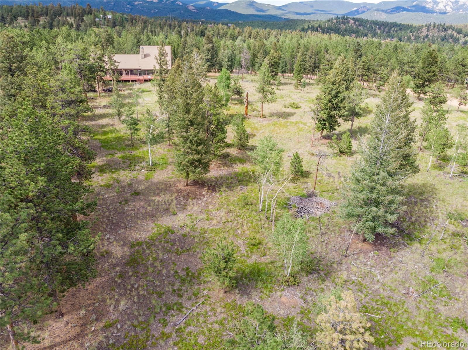1474 Tapadero Road Bailey, CO 80421 - Photo 12 of 15 a view of a yard with a tree
