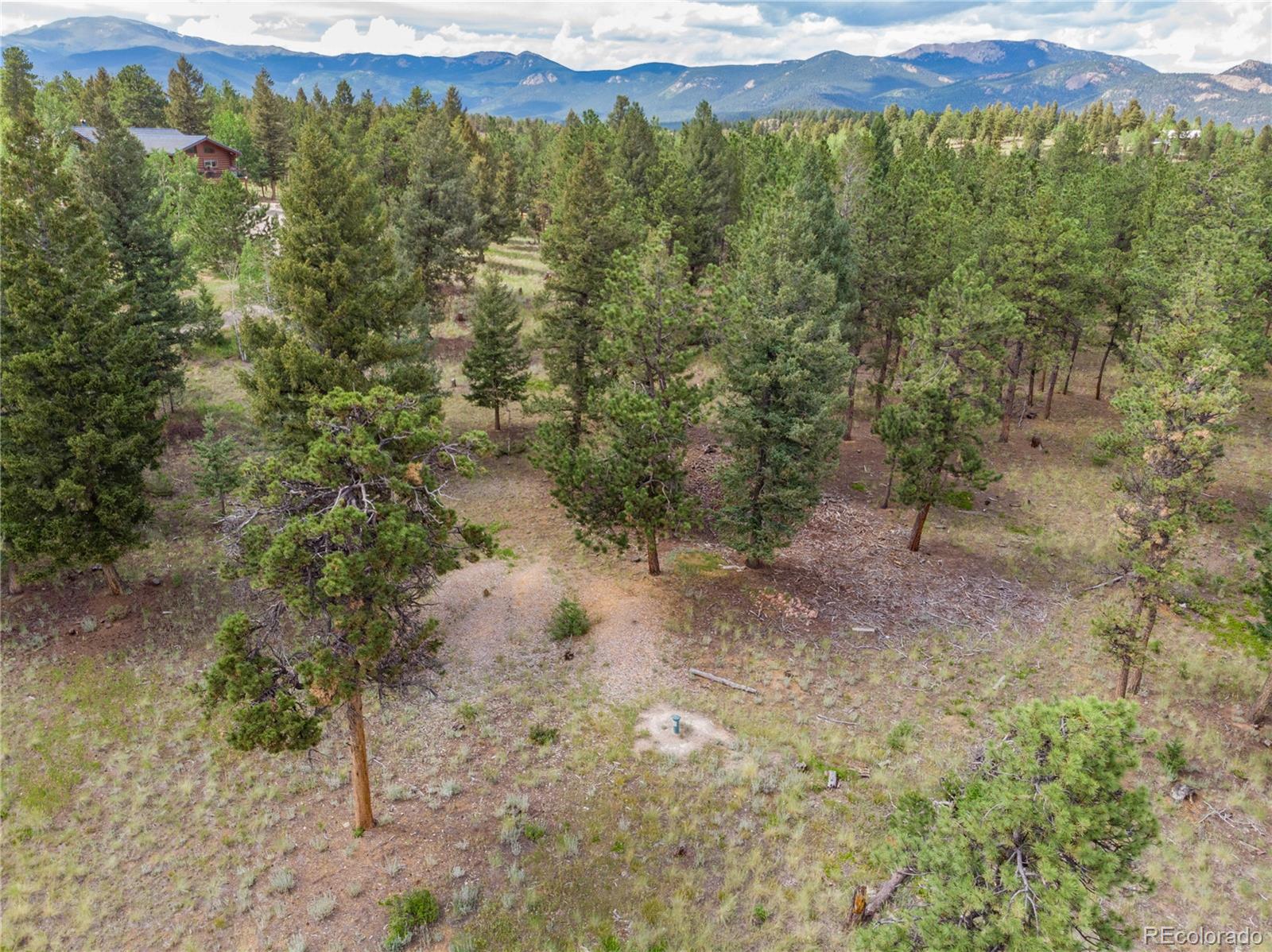 1474 Tapadero Road Bailey, CO 80421 - Photo 13 of 15 a view of a forest with a forest