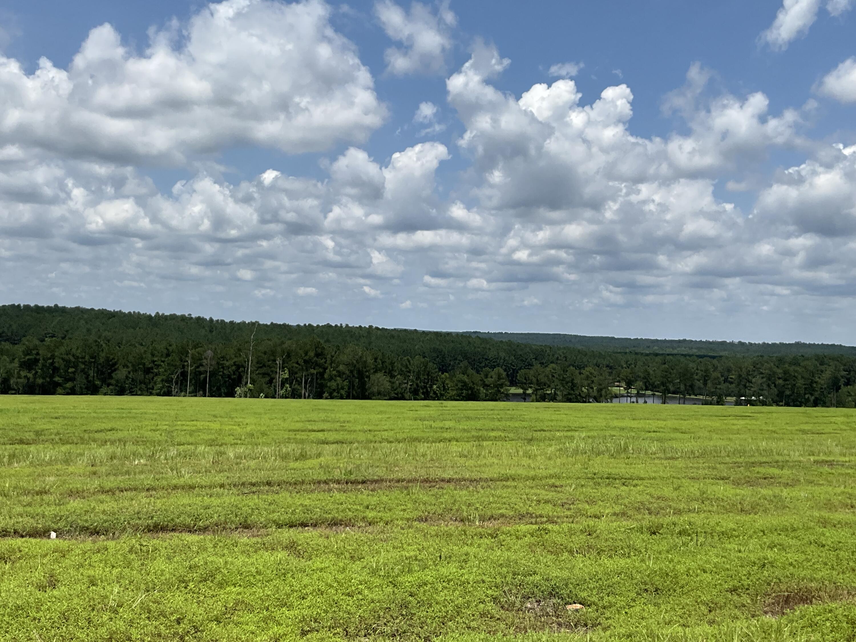 36 Laughlin Loop Aiken, SC 29805 - Photo 10 of 15