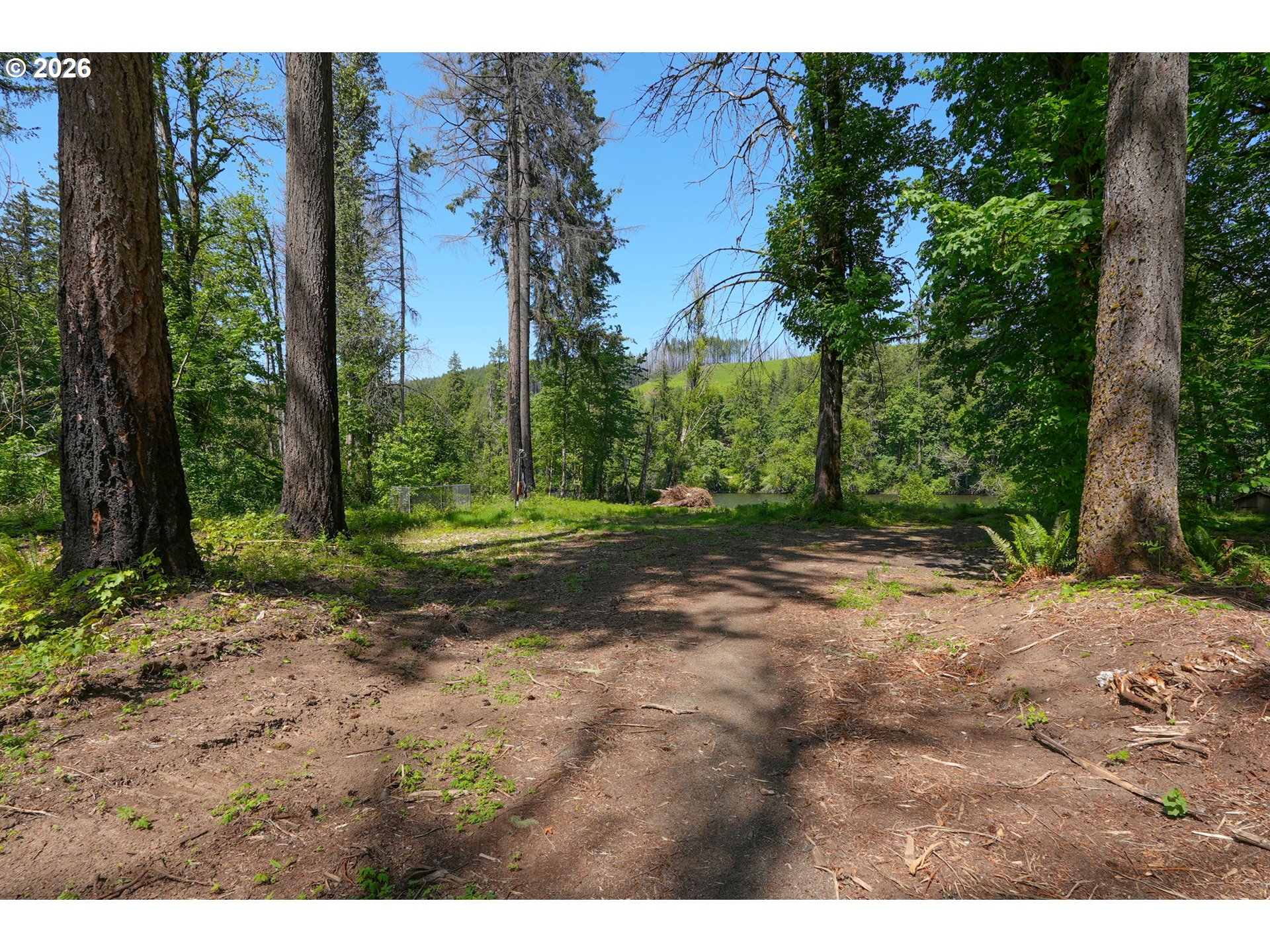 Goodpasture Road, Unit 1809 Vida, OR 97488 - Photo 5 of 24