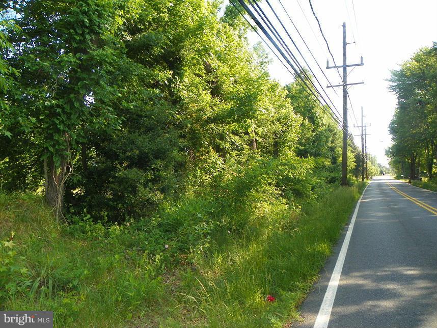 11901 Old Fort Road Fort Washington, MD 20744 - Photo 7 of 7 a view of a yard with plants and trees