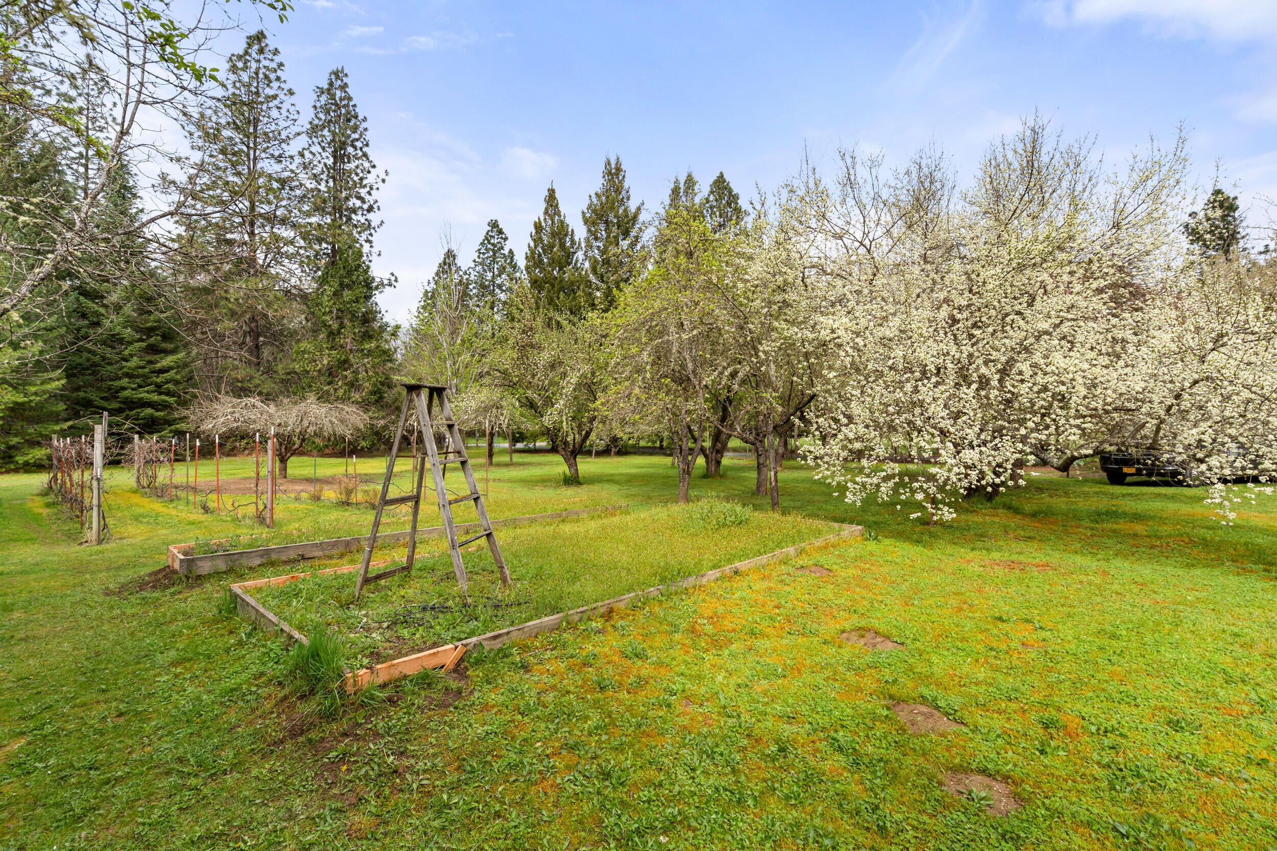 315 Queens Branch Road Rogue River, OR 97537 - Photo 32 of 39 Gallery Image 32