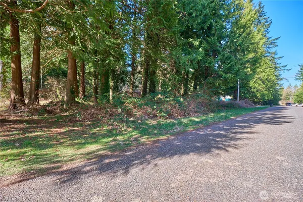 a view of a tree in the middle of a yard