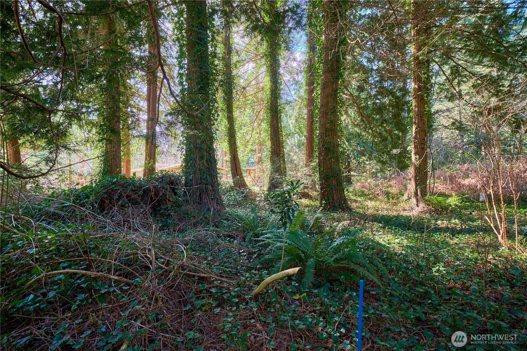 16 Burns Way Point Roberts, WA 98281 - Photo 3 of 8 a view of outdoor space and green space