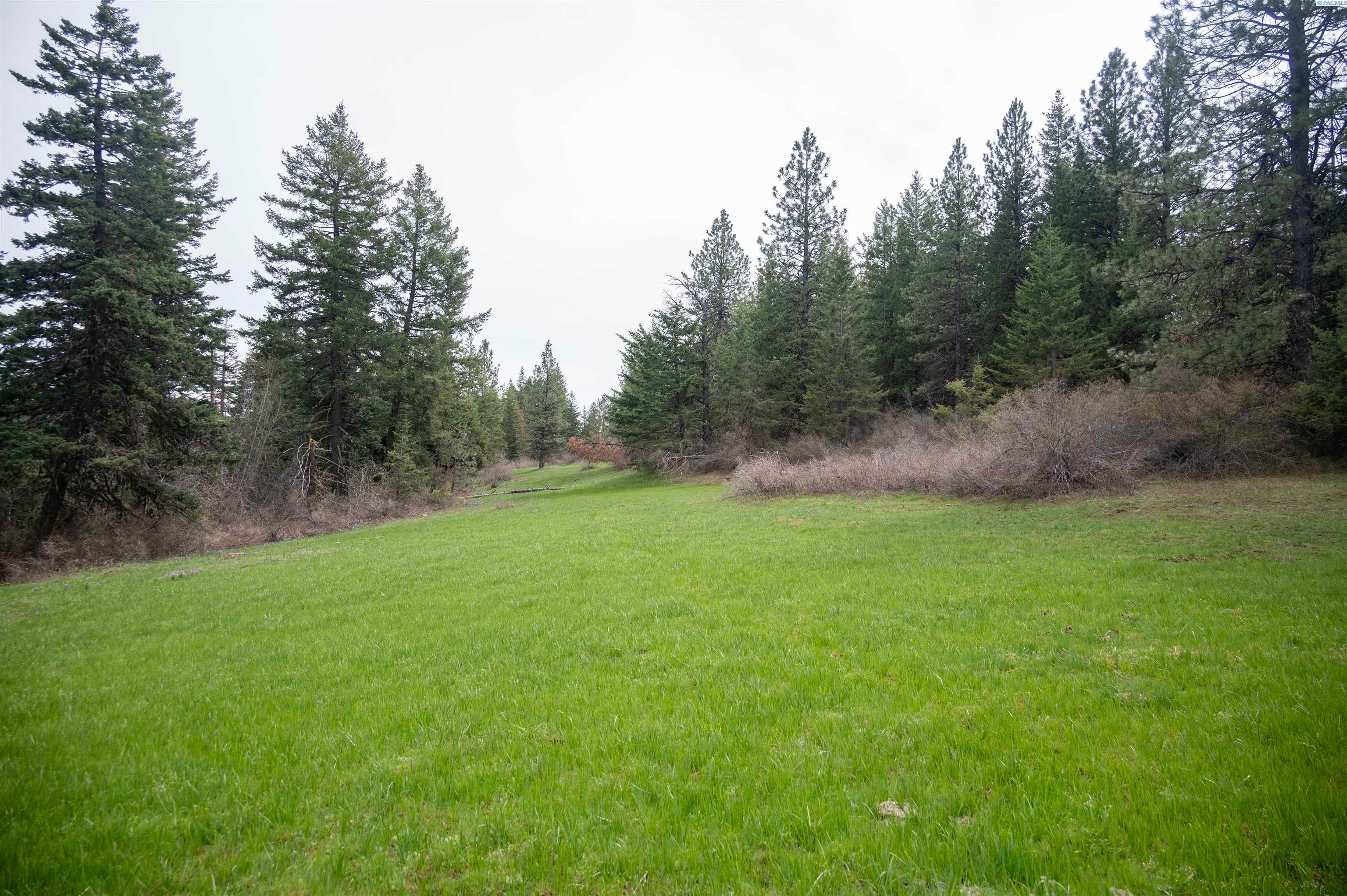 Unk20 Blacksnake Ridge Road Walla Walla, WA 99362 - Photo 19 of 41 Gallery Image 19