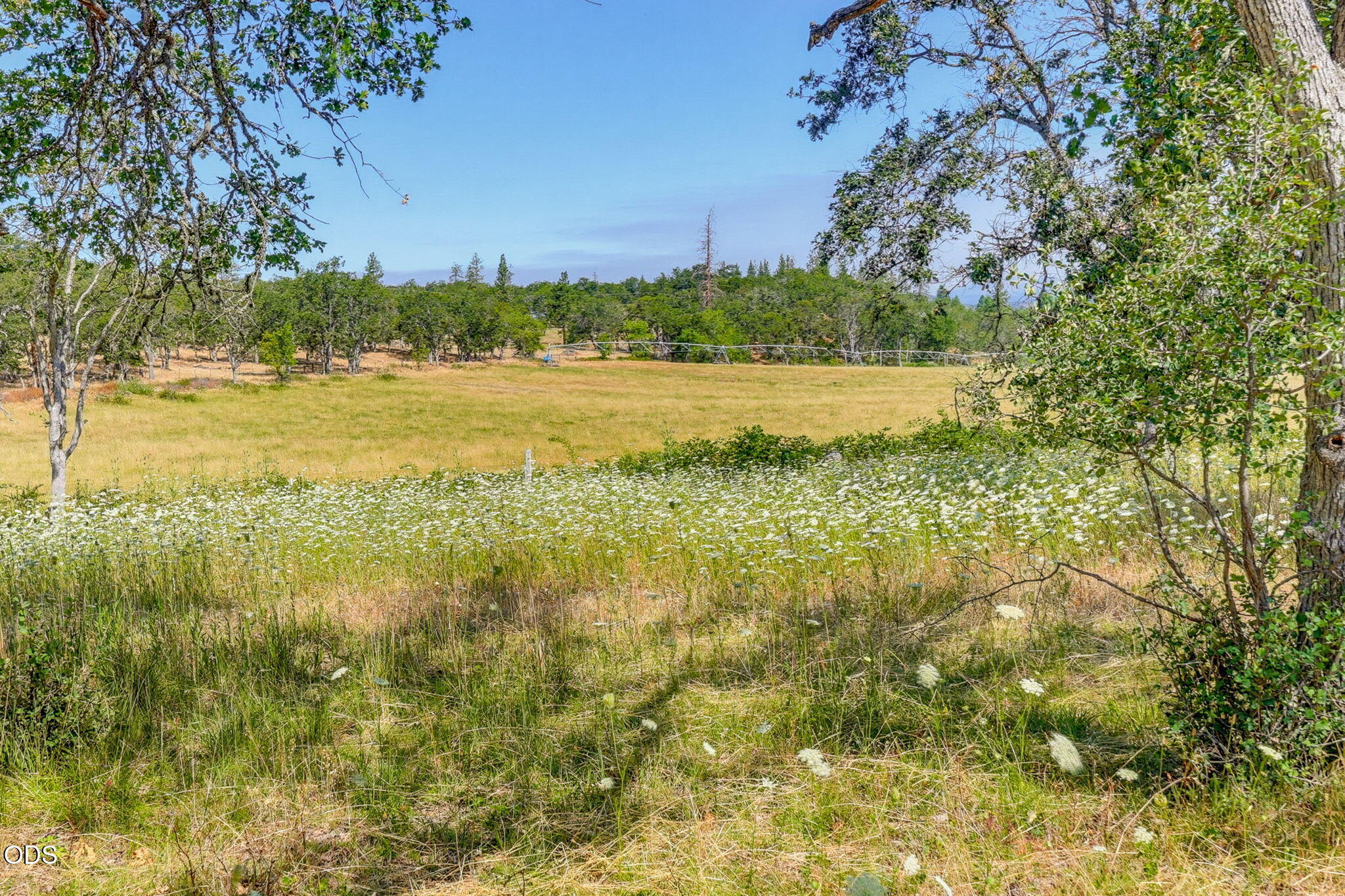 4001 South Fork Little Butte Creek Road Eagle Point, OR 97524 - Photo 83 of 85 Gallery Image 83