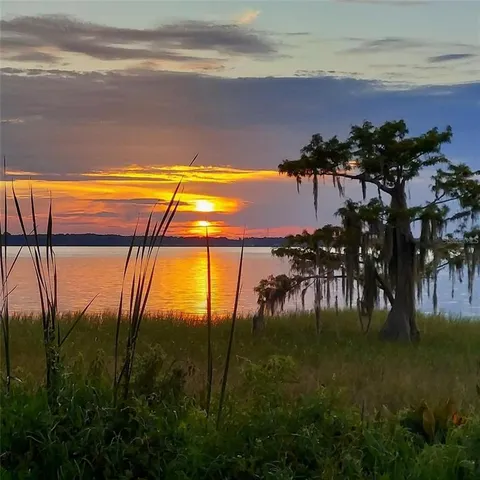 a view of swimming pool from a yard