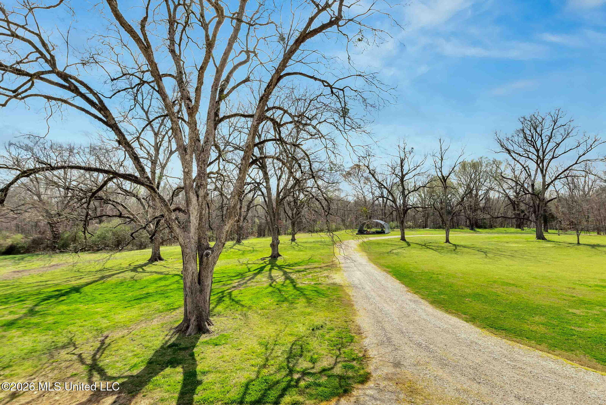 1405 Church Hill Road Natchez, MS 39120 - Photo 12 of 64 12-web-or-mls-untitled-5519