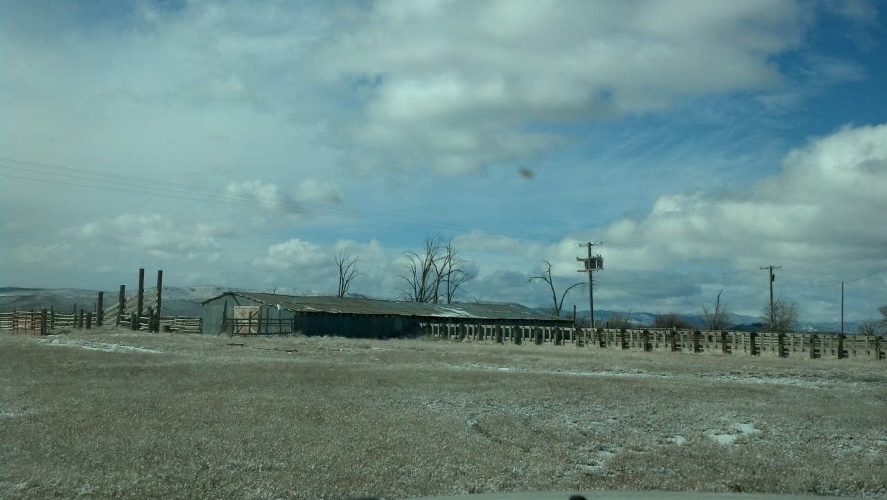 3100 North 2000th West Beryl, UT 84714 - Photo 1 of 1 Wilson Cattle Shed