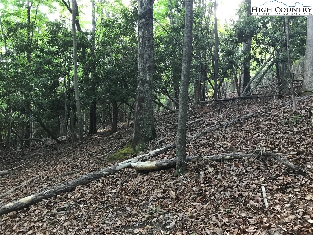 0 Oklahoma Road Roaring Gap, NC 28668 - Photo 19 of 26 Gallery Image 19