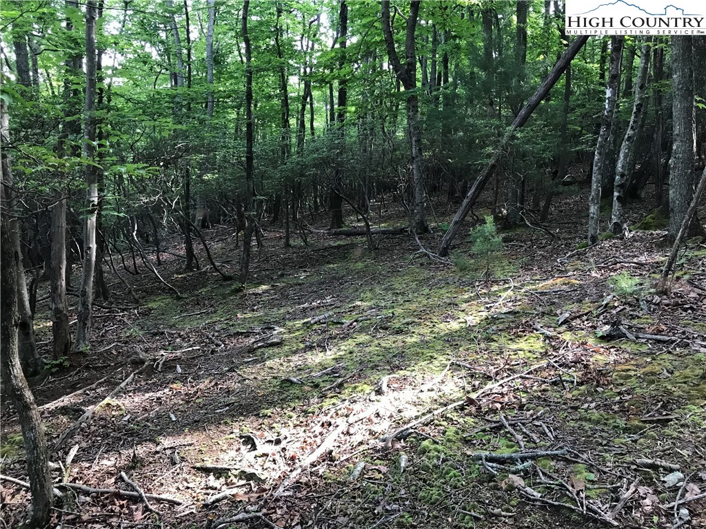 0 Oklahoma Road Roaring Gap, NC 28668 - Photo 23 of 26 Gallery Image 23