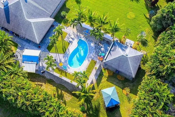 a view of a field with a tree in the background