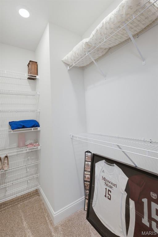 312 Deep Ravine Court St. Charles, MO 63301 - Photo 56 of 99