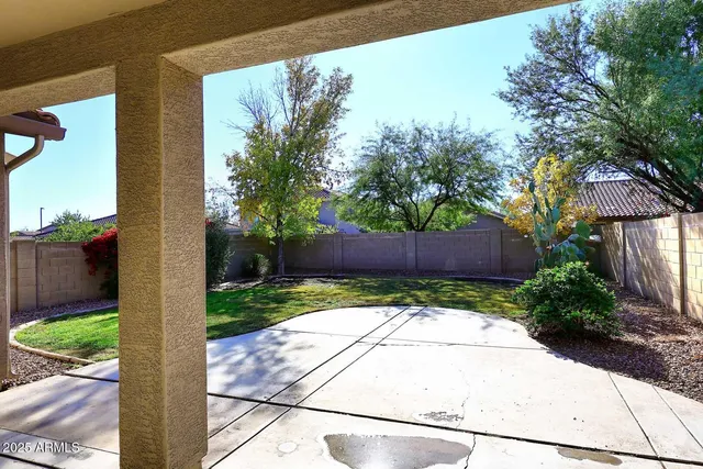 a view of a backyard with potted plants