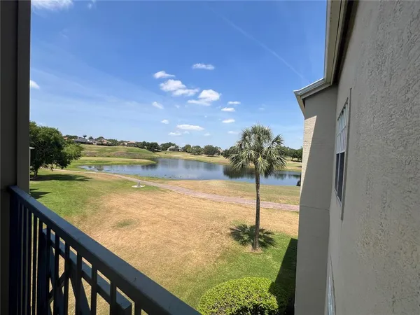 a view of a backyard with plants