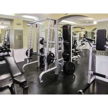 a view of a park with a tree