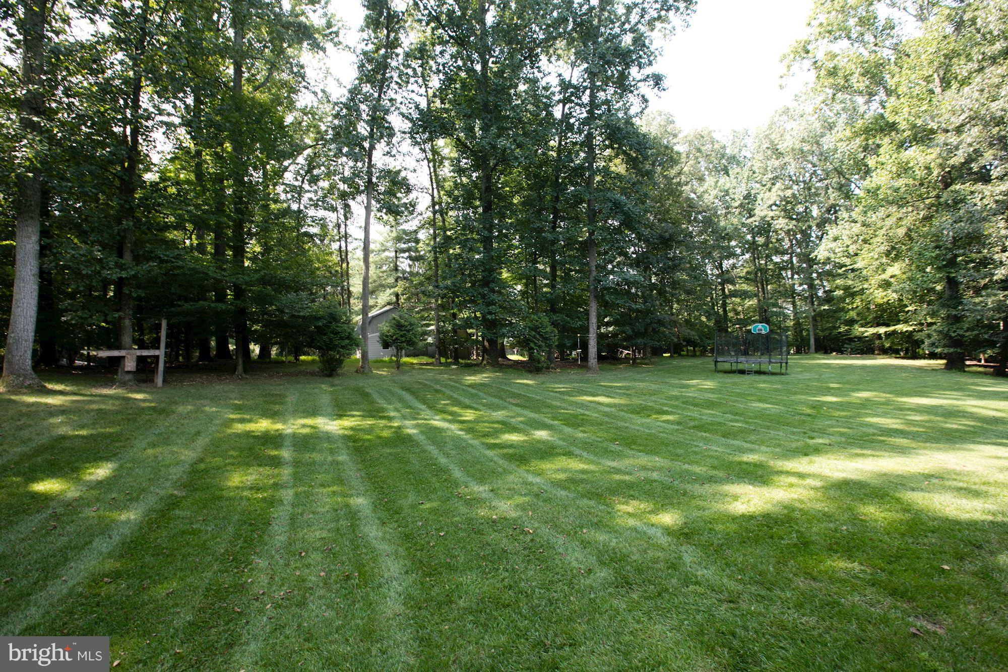 304 Springvale Road Great Falls, VA 22066 - Photo 25 of 25 Exterior (General)