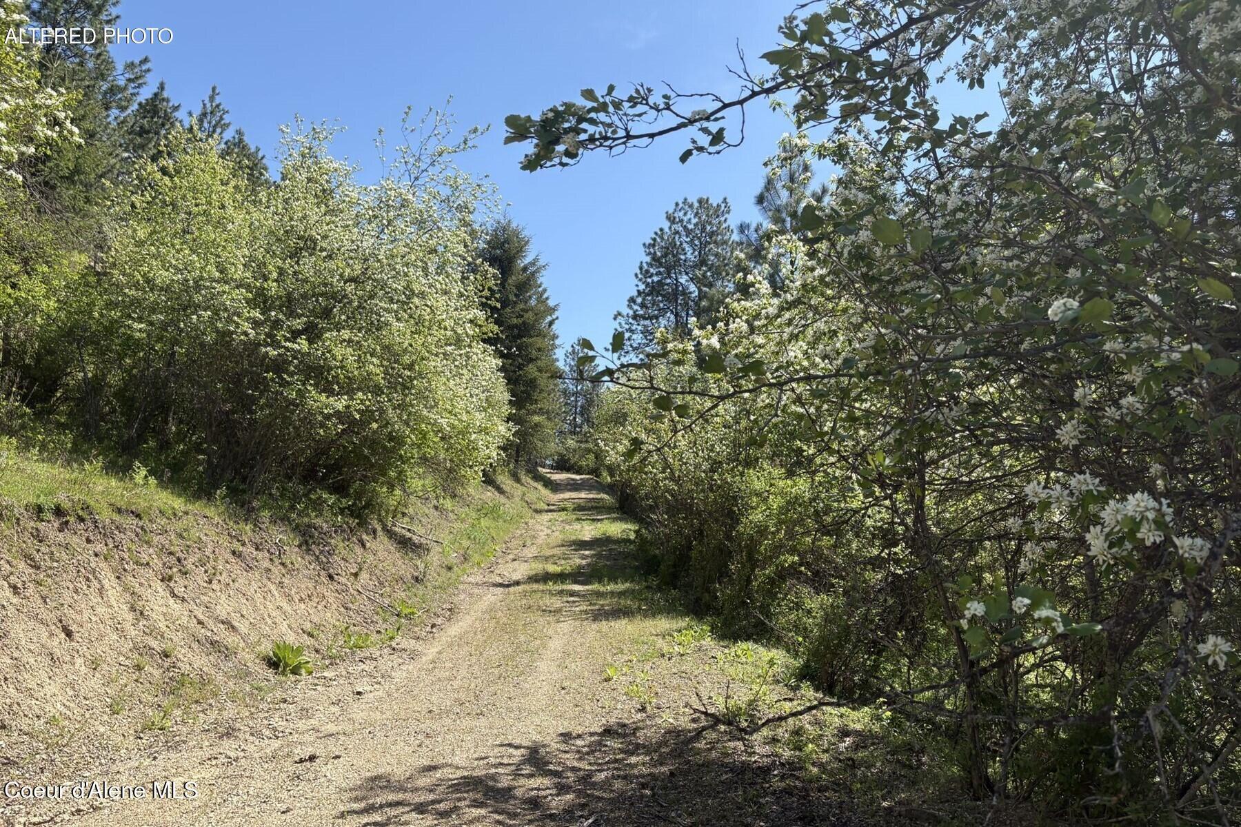1985-20a) Southfork Rdg Road Kingston, ID 83839 - Photo 13 of 24 Driveway