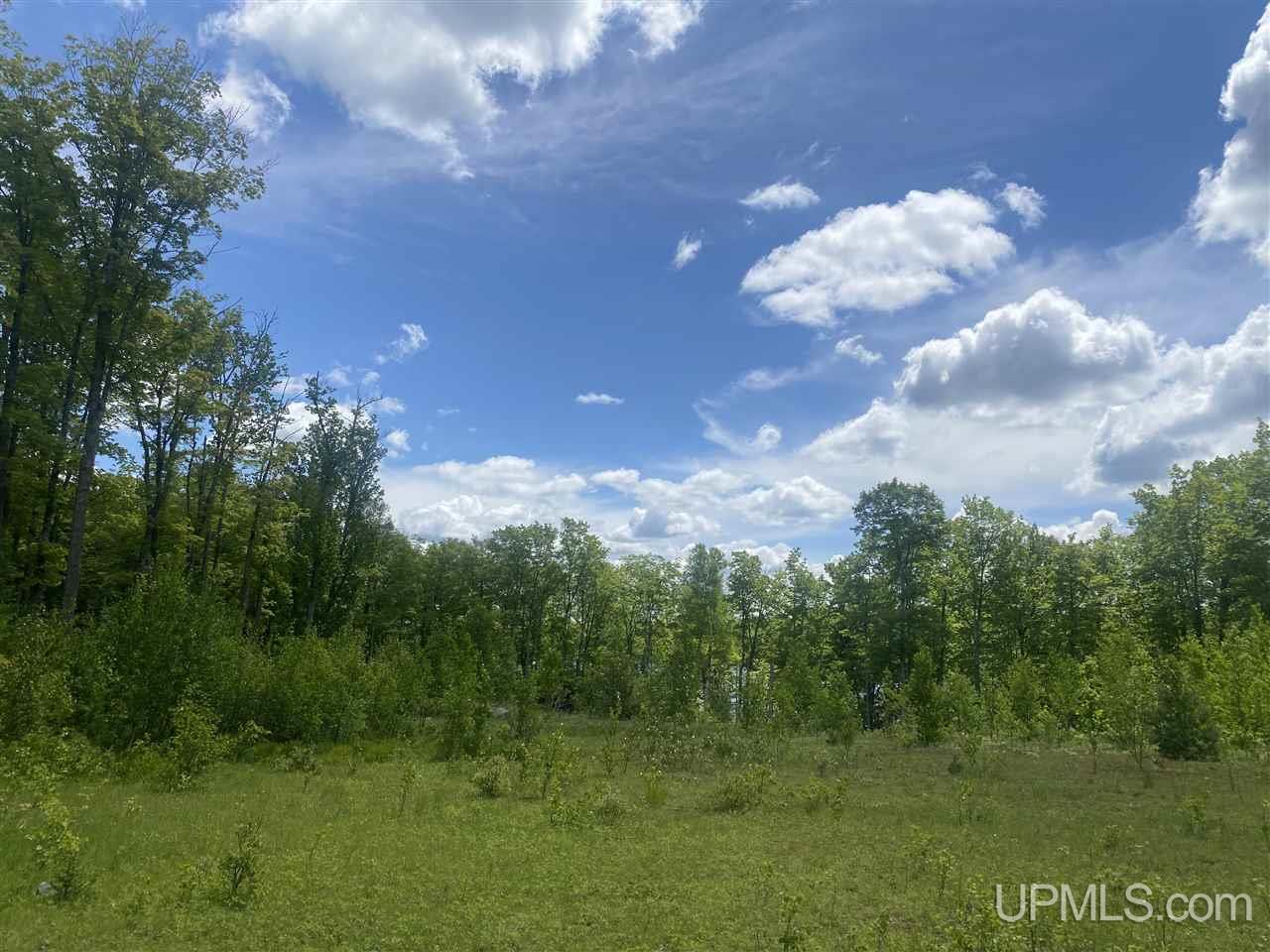 Tbd West Tamarack Lake Road, Unit 17 Iron River, MI 49935 - Photo 41 of 45